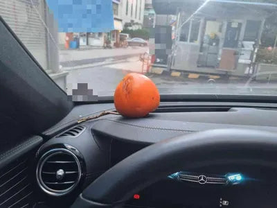 2021 Mercedes-Benz E 450 W1KZF5KB4MA916431 VIN:W1KZF5KB4MA916431