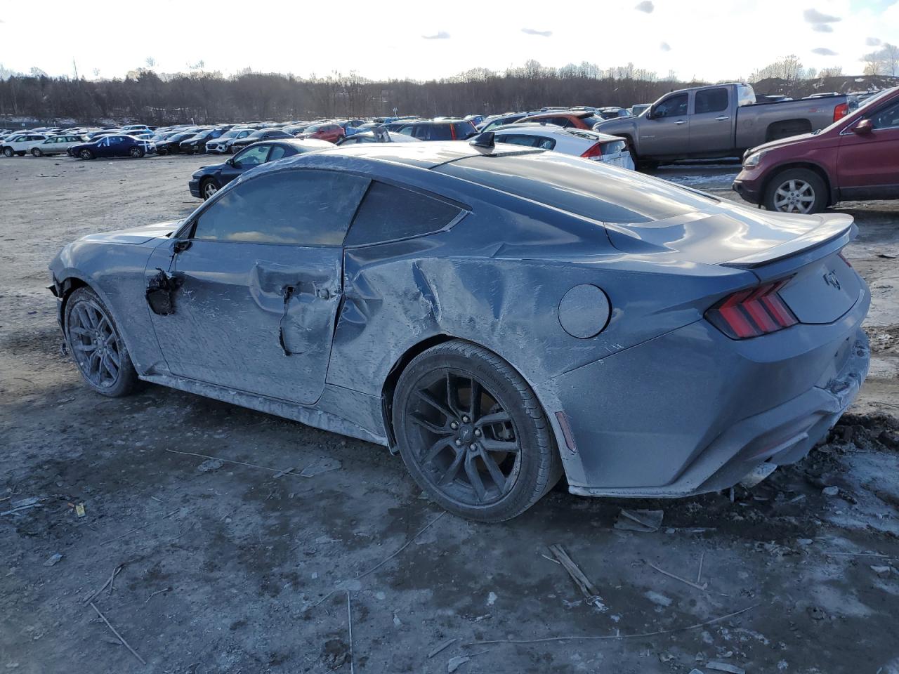 2024 FORD MUSTANG  VIN:1FA6P8TH6R5110367