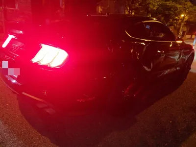 2019 Ford Mustang GT VIN: