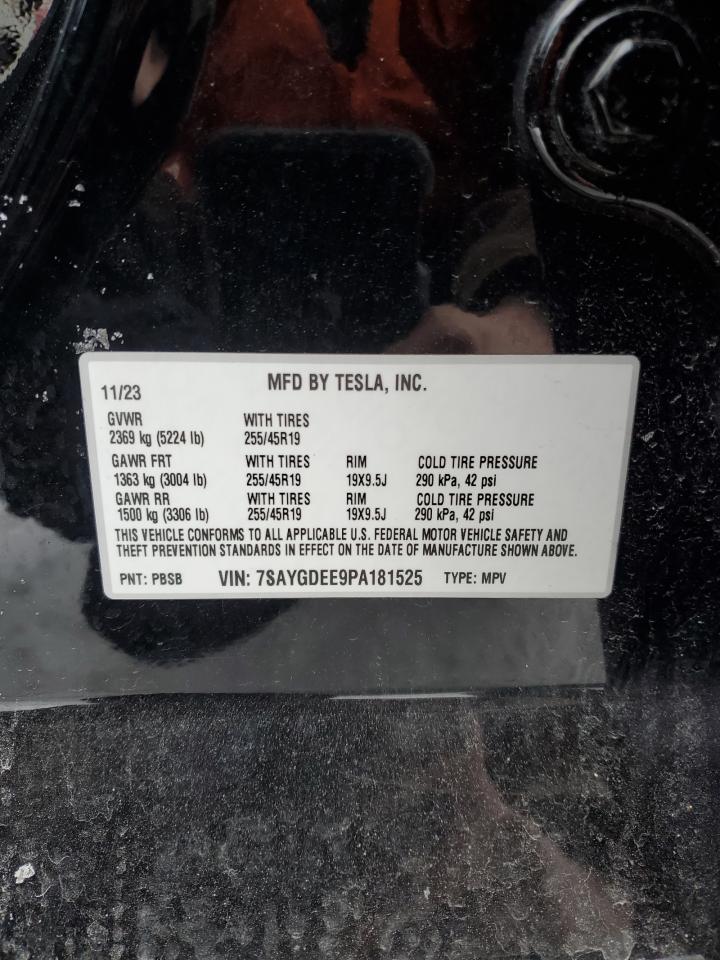 2023 TESLA MODEL Y  VIN:7SAYGDEE9PA181525