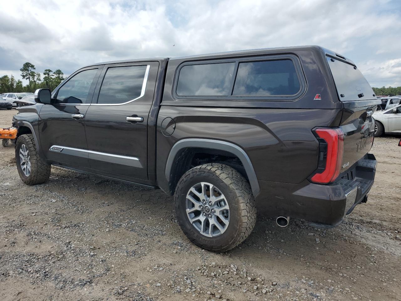 2023 TOYOTA TUNDRA CREWMAX PLATINUM VIN:WP0AA2A8XNS255297