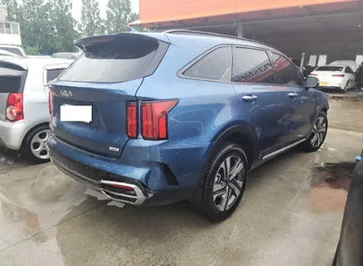 2023 Kia Sorento KNARL81GBPA160134 VIN:KNARL81GBPA160134