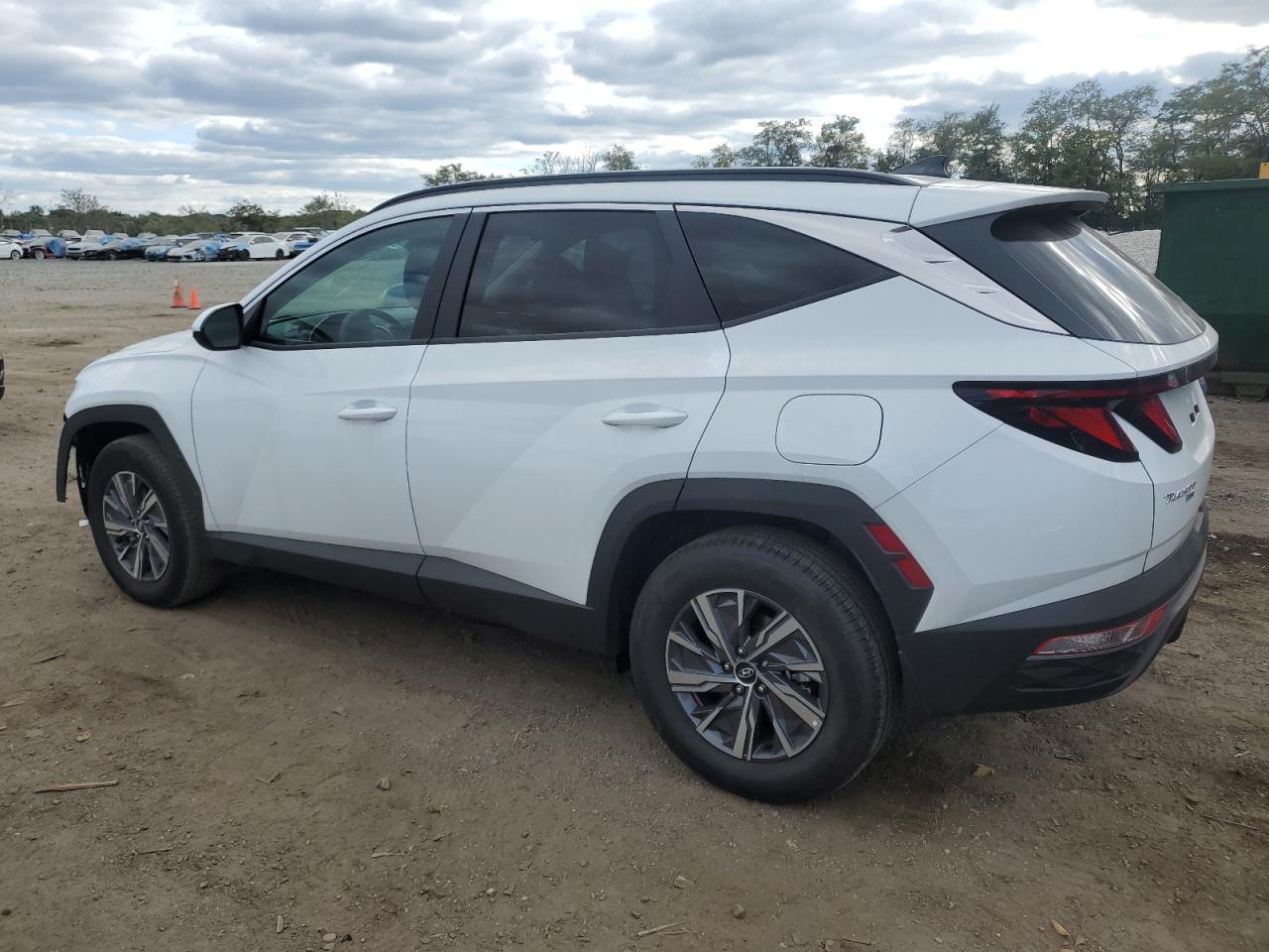 2024 HYUNDAI TUCSON BLUE VIN:KM8JBCD16RU194926