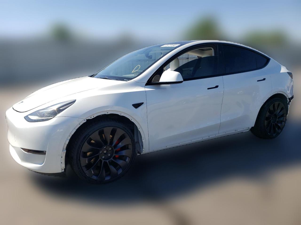 2023 TESLA MODEL Y  VIN:7SAYGDEF9PF867060