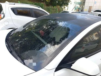 2022 Tesla Model 3 VIN: