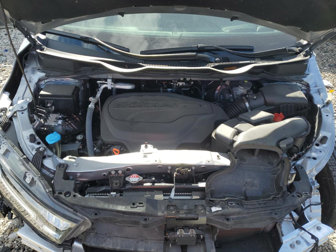 2024 HONDA ODYSSEY EXL VIN:5FNRL6H64RB015142