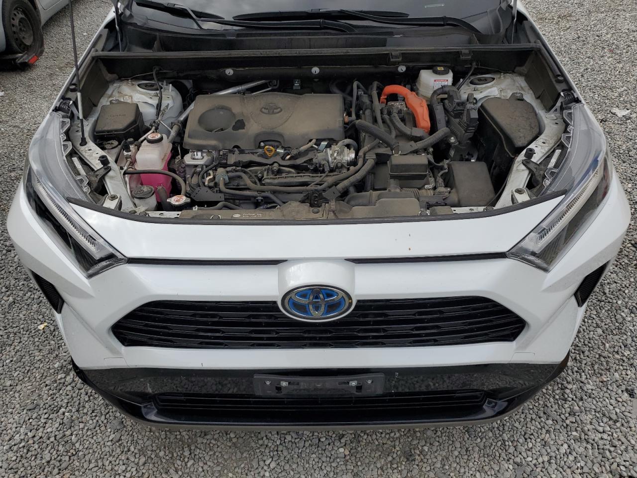2023 TOYOTA RAV4 SE VIN:JTM16RFV7PD100545