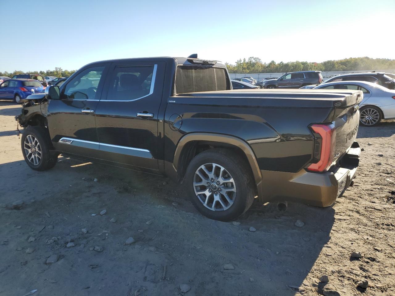 2022 TOYOTA TUNDRA CREWMAX PLATINUM VIN:5TFMA5DB6NX009193