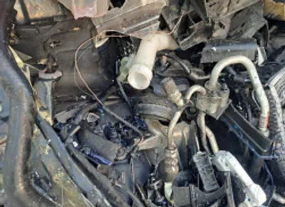 2021 Kia Carnival KNANC81BBMS018195 VIN:KNANC81BBMS018195