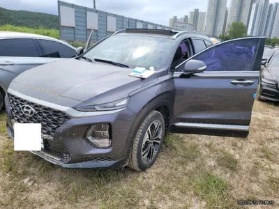 2019 Hyundai Santa FE KMHS381CBKU076010 VIN:KMHS381CBKU076010
