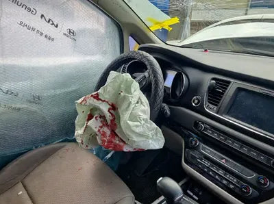 2017 Kia Carnival KNAMB81ABHS247253 VIN:KNAMB81ABHS247253