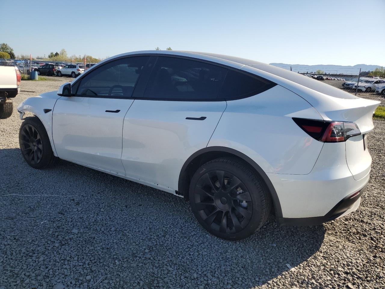 2023 TESLA MODEL Y  VIN:7SAYGDEE5PF751944