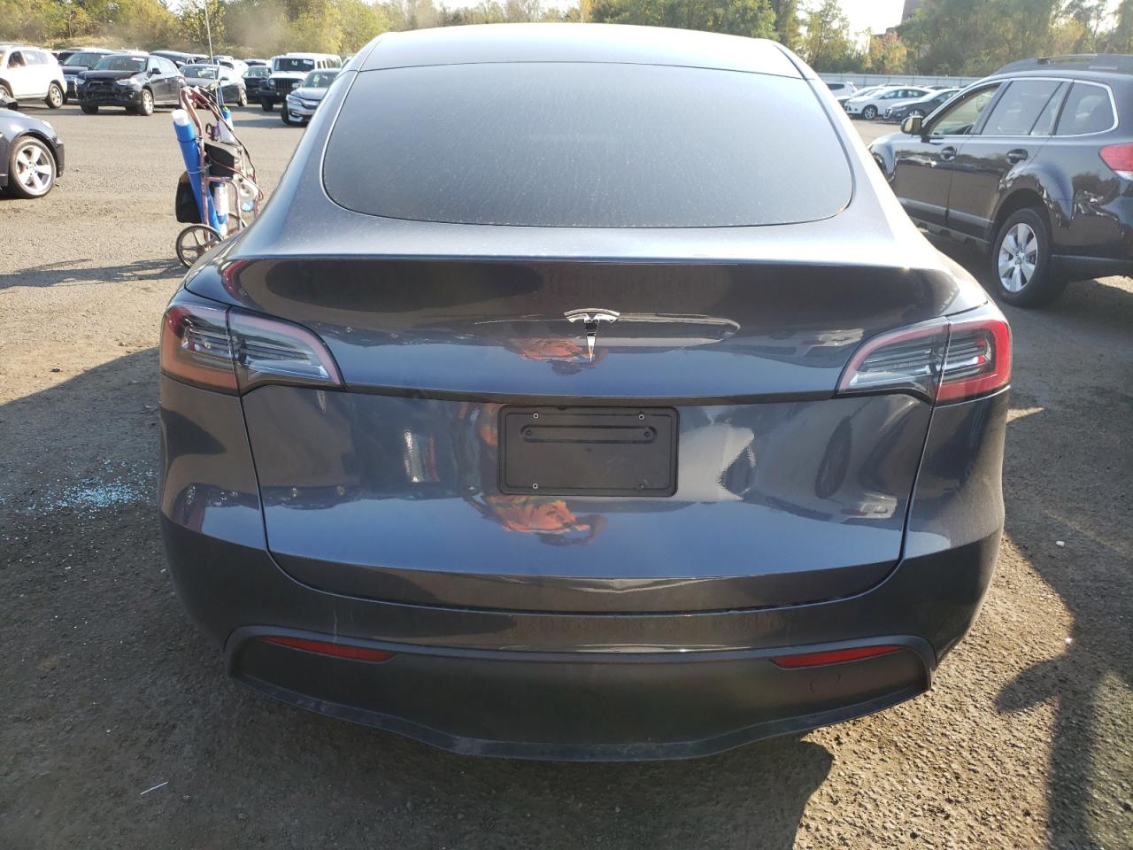 2023 TESLA MODEL Y  VIN:7SAYGDED3PF934847