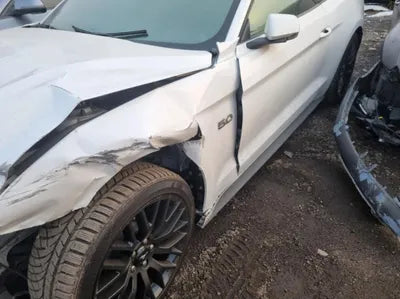 2019 Ford Mustang GT VIN: