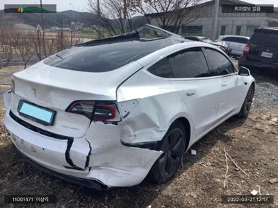 2020 Tesla Model 3 5YJ3E1EB9LF695079 VIN:5YJ3E1EB9LF695079