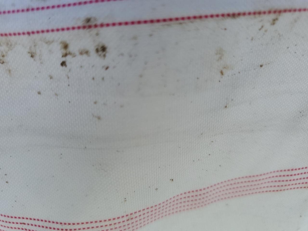 2022 SUBARU WRX PREMIUM VIN:JF1VBAF66N9022269