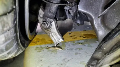 2019 Mercedes-Benz E 450 WDDZF6JB0KA693941 VIN:WDDZF6JB0KA693941