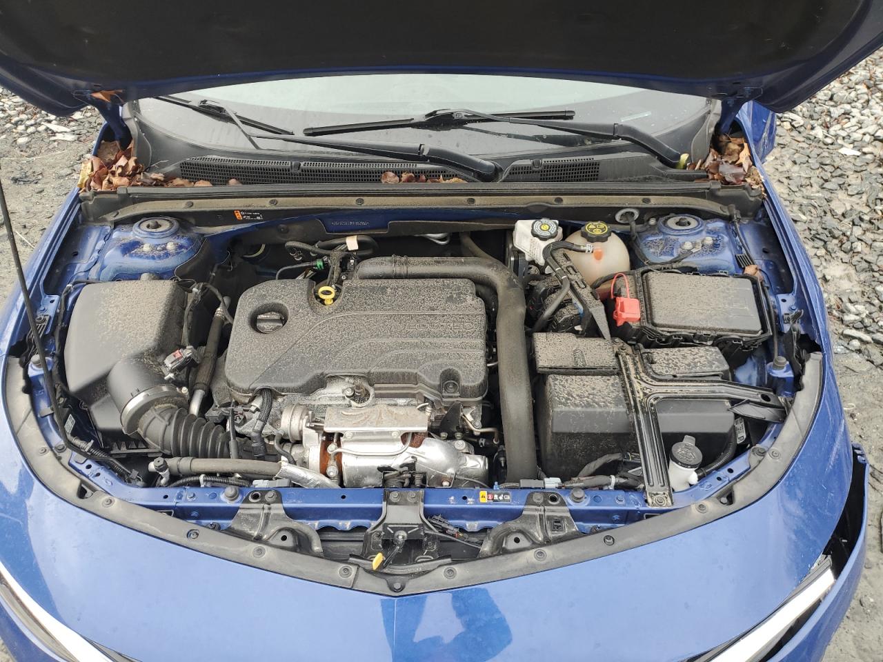 2023 CHEVROLET MALIBU LS VIN:1G1ZC5ST3PF162952