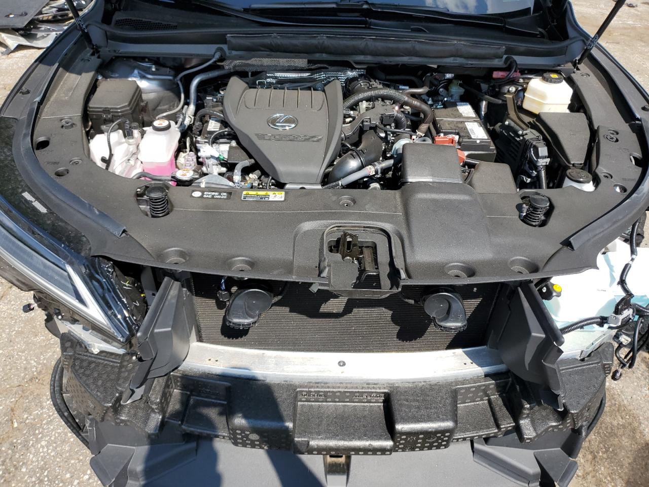 2023 LEXUS RX 350 BASE VIN:2T2BAMCA4PC006641