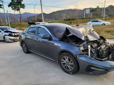2019 Kia K5 KNAGS411BKA320809 VIN:KNAGS411BKA320809