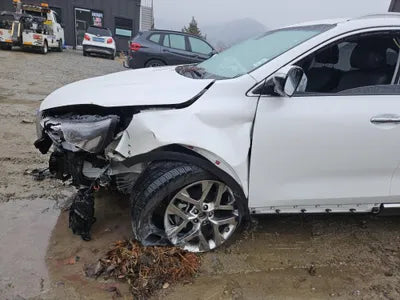 2019 Kia Sorento KNAPH811DLA630874 VIN:KNAPH811DLA630874