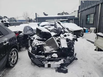 2019 Hyundai Santa FE KMHS381BBKU074359 VIN:KMHS381BBKU074359