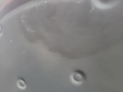 2017 Lexus ES 300 VIN: