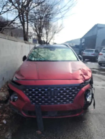 2020 Hyundai Santa FE KMHS581CDLU193266 VIN:KMHS581CDLU193266