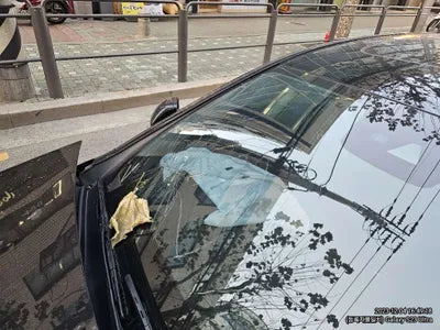 2019 Mercedes-Benz E 220 980KMWDDZF0EB9KA6 VIN:980KMWDDZF0EB9KA6