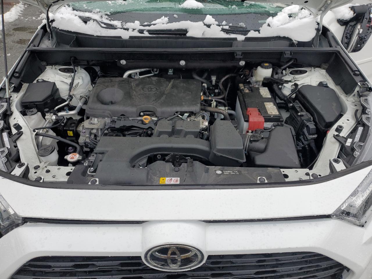 2024 TOYOTA RAV4 XLE VIN:2T3P1RFV6RC394956
