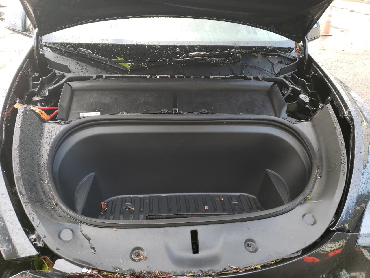 2024 TESLA MODEL Y  VIN:7SAYGDEF5RF123670