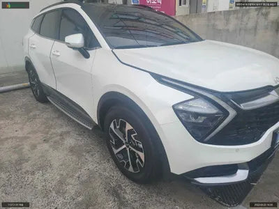 2022 Kia Sportage KNAPW81GBNK007650 VIN:KNAPW81GBNK007650