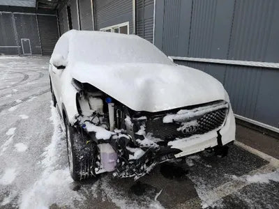 2016 Kia Sorento KNAPH81ABGA216735 VIN:KNAPH81ABGA216735