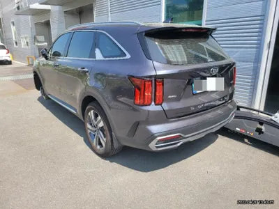 2020 Kia Sorento KNARM81GBMA011799 VIN:KNARM81GBMA011799