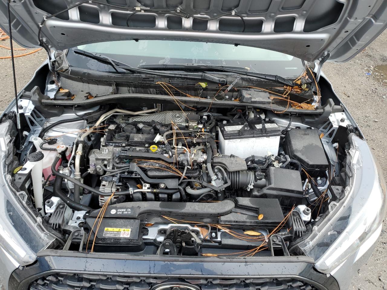 2023 TOYOTA COROLLA CROSS L VIN:7MUAAABG0PV055403