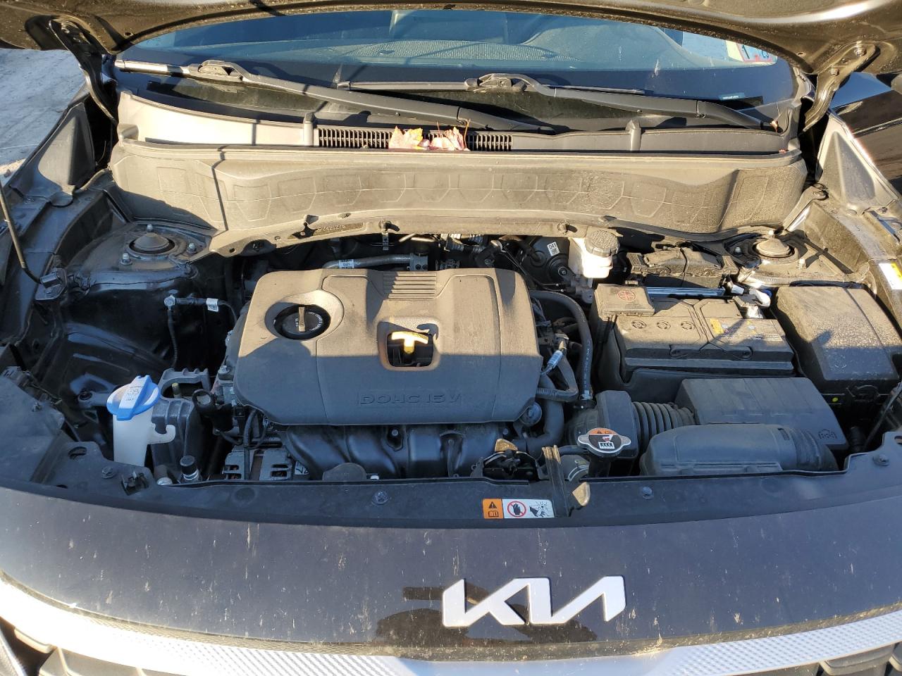 2023 KIA SELTOS LX VIN:KNDEPCAA0P7421275