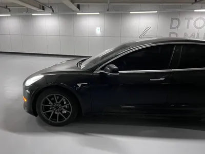 2019 Tesla Model 3 VIN: