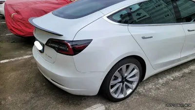 2020 Tesla Model 3 5YJ3E1EB0LF725098 VIN:5YJ3E1EB0LF725098
