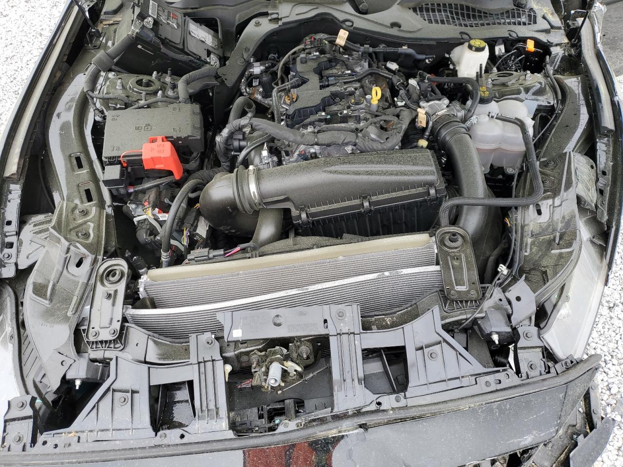 2024 FORD MUSTANG  VIN:1FA6P8TH8R5118552