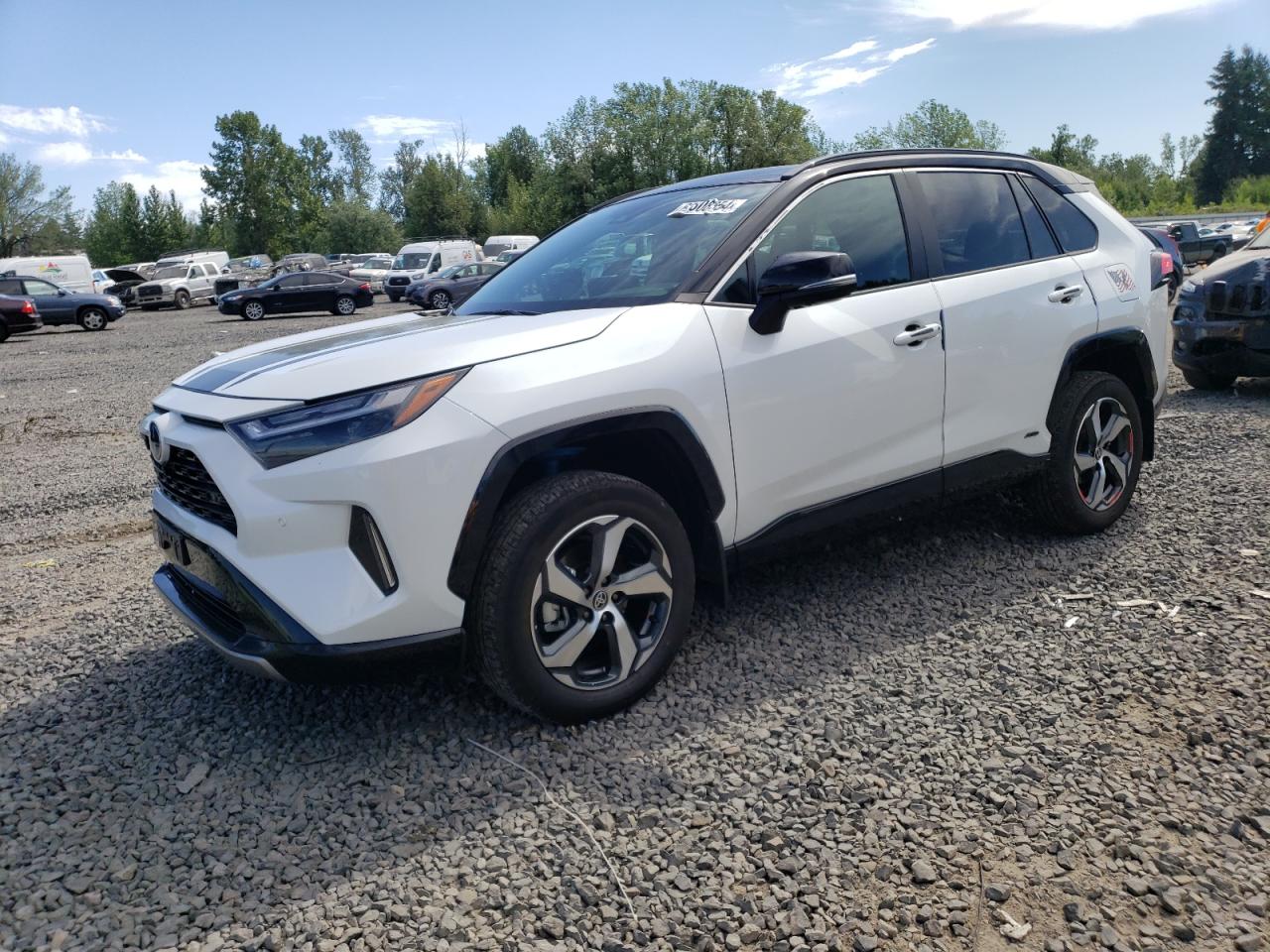 2024 TOYOTA RAV4 XSE VIN:2T3E6RFV4RW051425