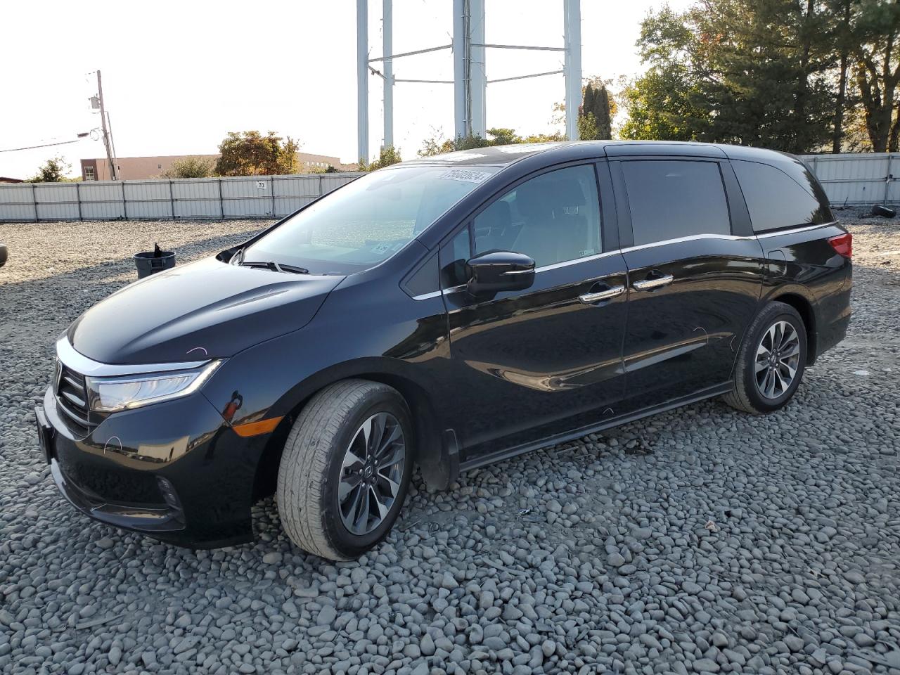 2024 HONDA ODYSSEY EXL VIN:5FNRL6H61RB056117