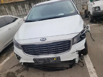 2019 Kia Carnival KNAMB81ABKS592317 VIN:KNAMB81ABKS592317