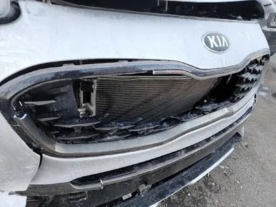 2019 Kia Sportage KNAPN813BKK659731 VIN:KNAPN813BKK659731