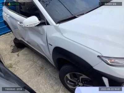2020 Hyundai Kona KMHK381EGLU028679 VIN:KMHK381EGLU028679