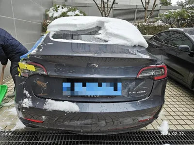 2020 Tesla Model 3 5YJ3E1EB7LF725423 VIN:5YJ3E1EB7LF725423