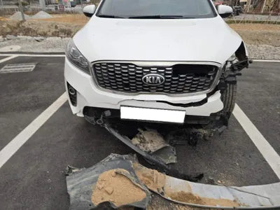 2019 Kia Sorento KNAPG81BDKA540068 VIN:KNAPG81BDKA540068