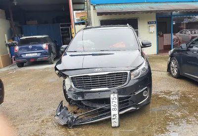 2015 Kia Carnival KNAMC81ABFS003699 VIN:KNAMC81ABFS003699