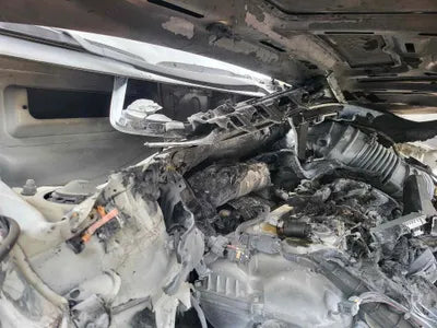 2020 Hyundai Kona KMHK4815HLU534100 VIN:KMHK4815HLU534100