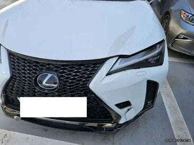 2020 Lexus UX 250 JTHR6JBH5L2068428 VIN:JTHR6JBH5L2068428