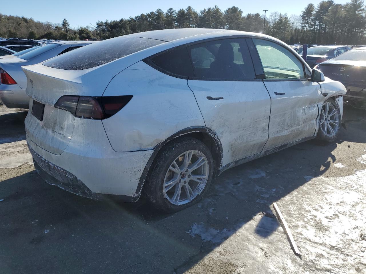 2022 TESLA MODEL Y  VIN:7SAYGDEE7NF307980